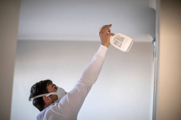Best Fast Mold Removal  in West Yarmouth, MA