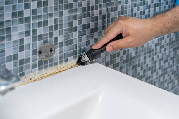 Reliable West Yarmouth, MA Mold Removal Solutions