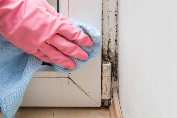 Crawl Space Mold Removal in West Yarmouth, MA